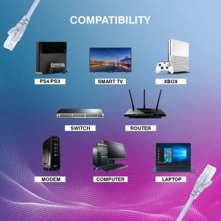 1M High Speed RJ45 Network Cable For Fast Ethernet Connectivity Suppliers, Dealers, Distributors, Retailers in Delhi